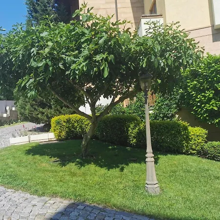 Garden Of Eden Panorama Szveti Vlasz